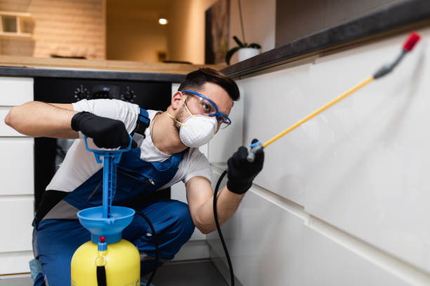 Reliable Ben Avon, PA Pest Control Solutions