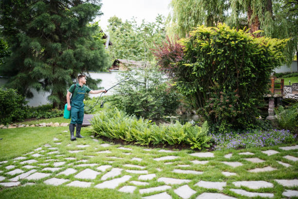 Best Affordable Pest Control Services  in Ben Avon, PA