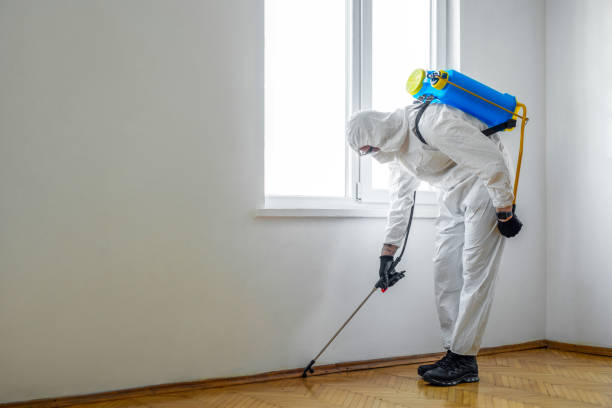 Wasp Removal Services in Ben Avon, PA