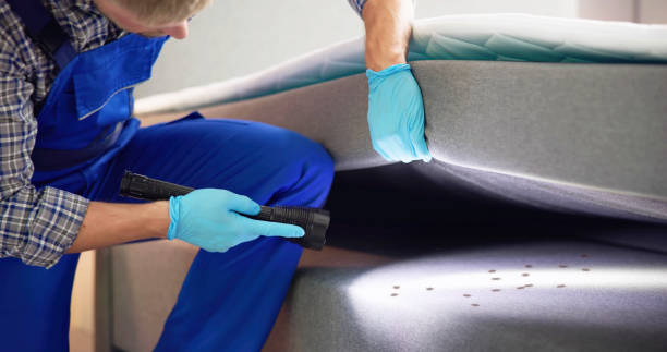 Best Local Pest Control Services  in Ben Avon, PA